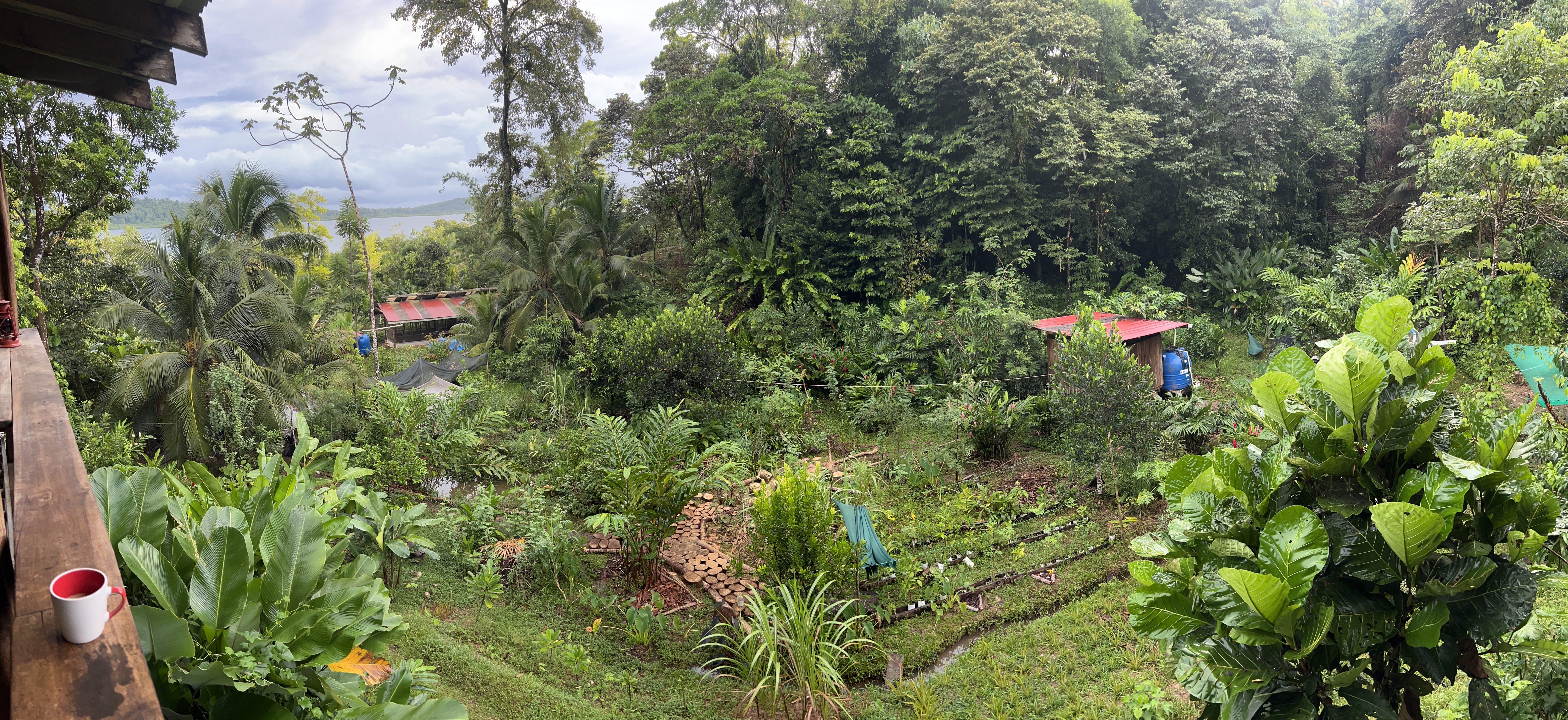 Afternoon farm tour